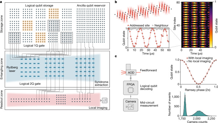 Figure 1a from Bluvstein et al. 2023 showing the real zoned architecture of a neutral-atom logical processor: storage zone, entangling zone with Rydberg laser, and readout zone with local imaging